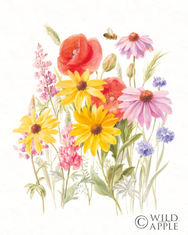 Reproduction of Wildflowers in Bloom V by Danhui Nai - Wall Decor Art