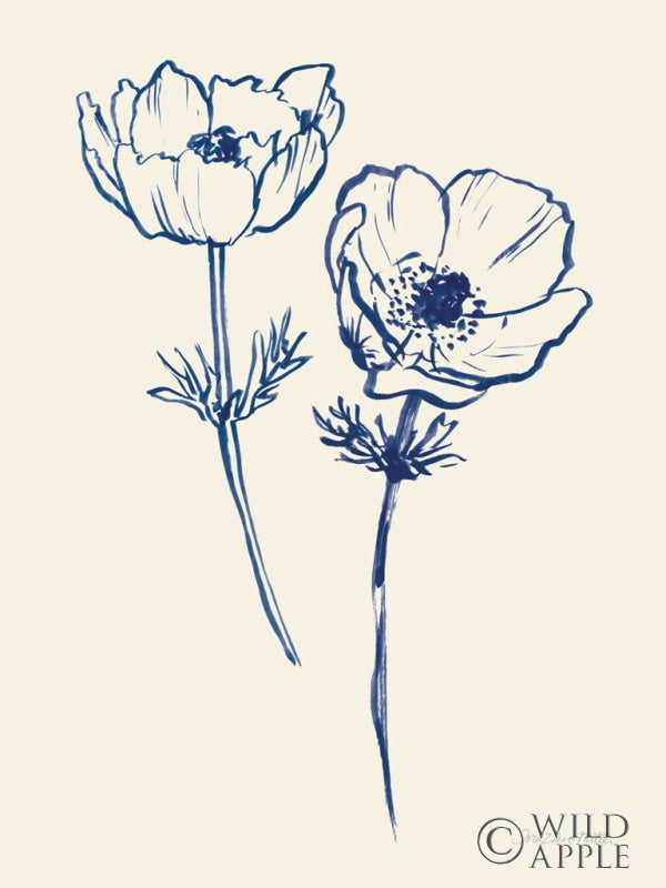 Reproduction of Ink Anemones I by Sara Zieve Miller - Wall Decor Art