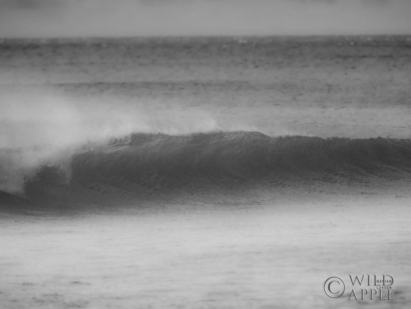 Reproduction of Curling Lip BW Crop by Nathan Larson - Wall Decor Art