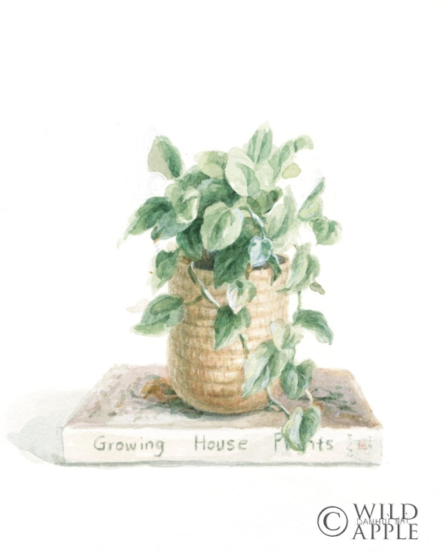 Reproduction of Grown at Home II by Danhui Nai - Wall Decor Art