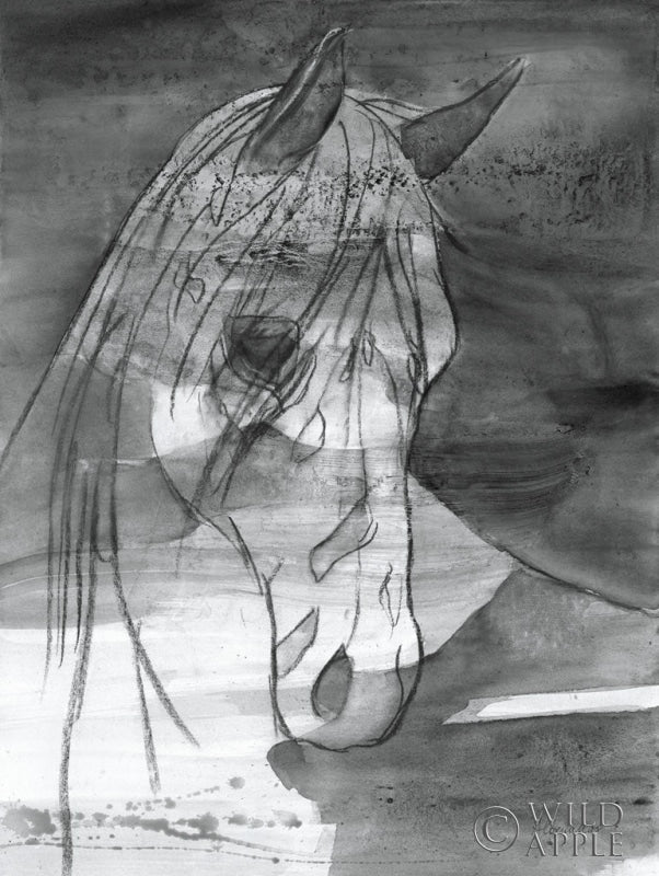 Reproduction of Moonlight BW by Albena Hristova - Wall Decor Art