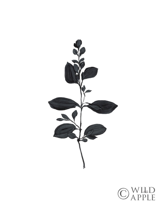 Reproduction of Botanical Study Branch by Julia Purinton - Wall Decor Art