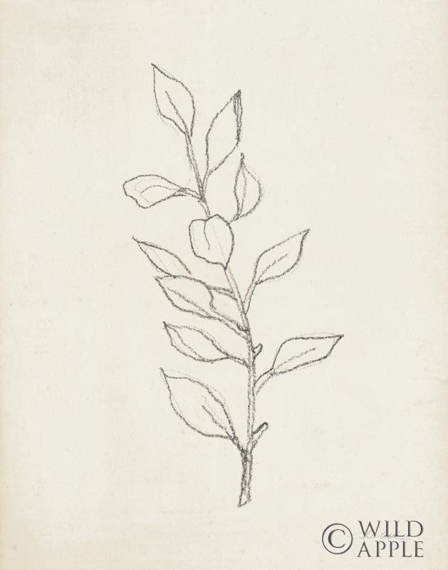 Reproduction of August Branch II by Silvia Vassileva - Wall Decor Art