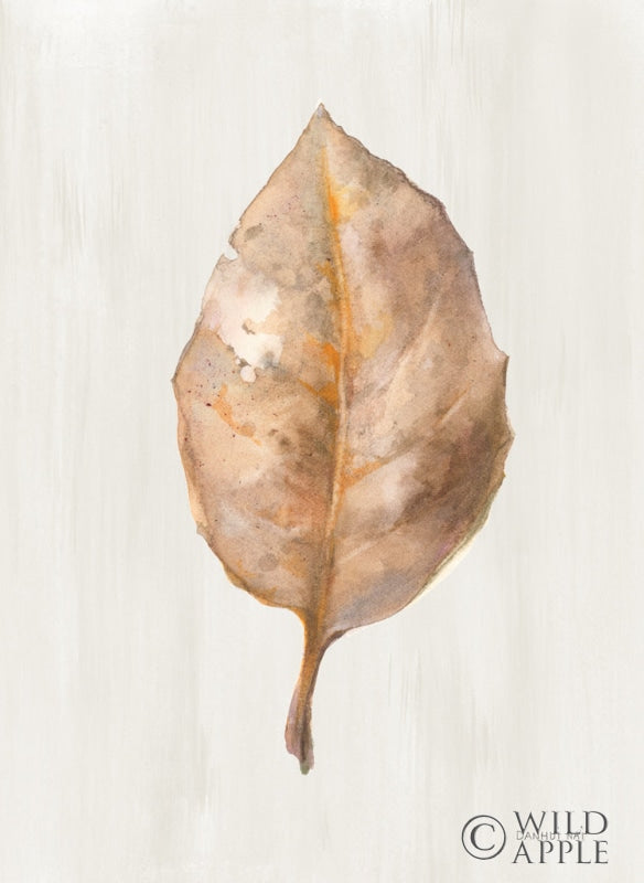 Reproduction of Fallen Leaf II Texture by Danhui Nai - Wall Decor Art