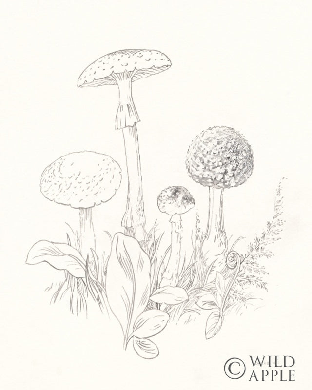 Reproduction of Nature Sketchbook II by Danhui Nai - Wall Decor Art