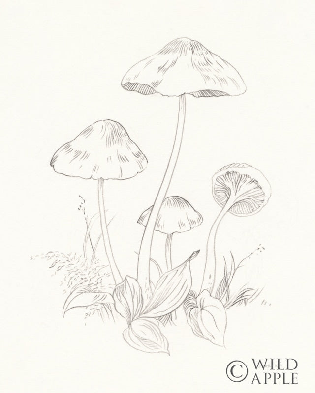 Reproduction of Nature Sketchbook III by Danhui Nai - Wall Decor Art