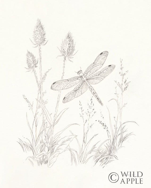 Reproduction of Nature Sketchbook IV by Danhui Nai - Wall Decor Art