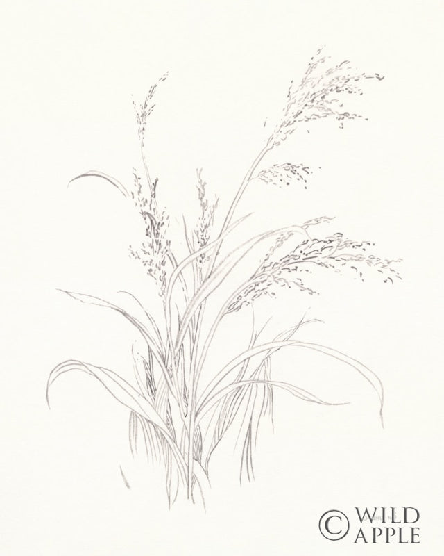 Reproduction of Nature Sketchbook V by Danhui Nai - Wall Decor Art