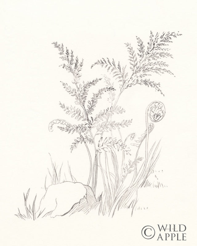 Reproduction of Nature Sketchbook VI by Danhui Nai - Wall Decor Art