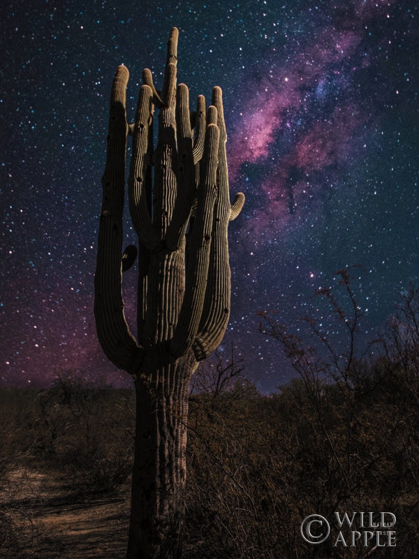 Reproduction of Desert Nights Crop by Nathan Larson - Wall Decor Art