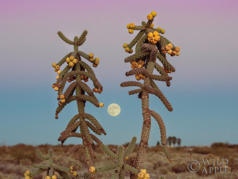 Reproduction of Desert Moonrise Crop by Nathan Larson - Wall Decor Art