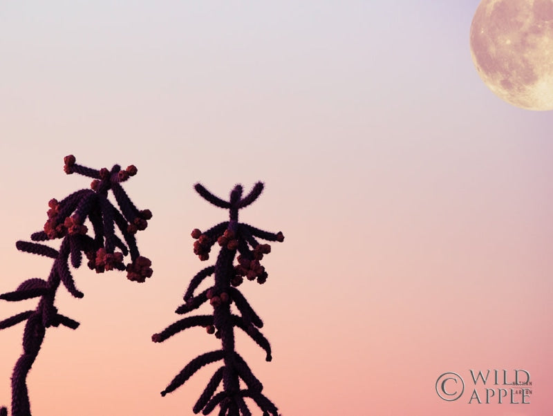 Reproduction of Moon Desert Crop by Nathan Larson - Wall Decor Art