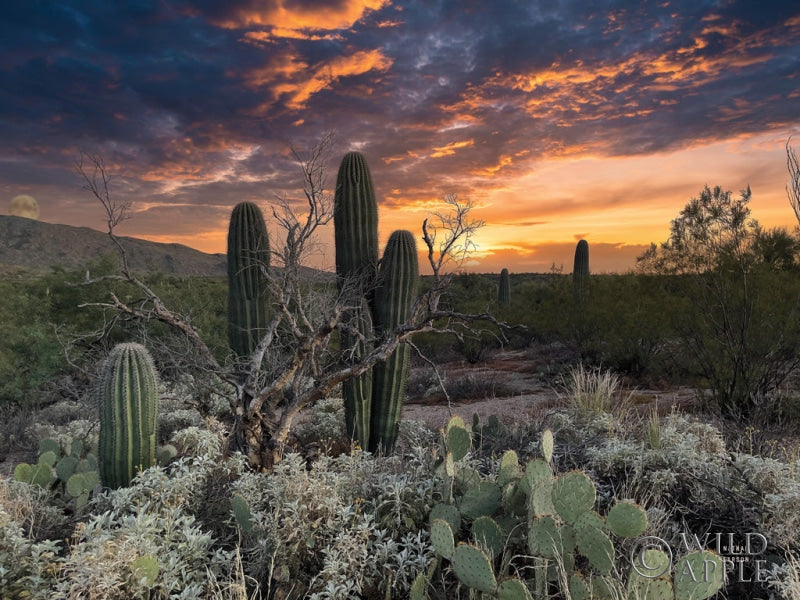 Reproduction of Sunset Moonrise by Nathan Larson - Wall Decor Art