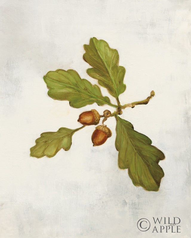 Reproduction of Oak Branch by Julia Purinton - Wall Decor Art