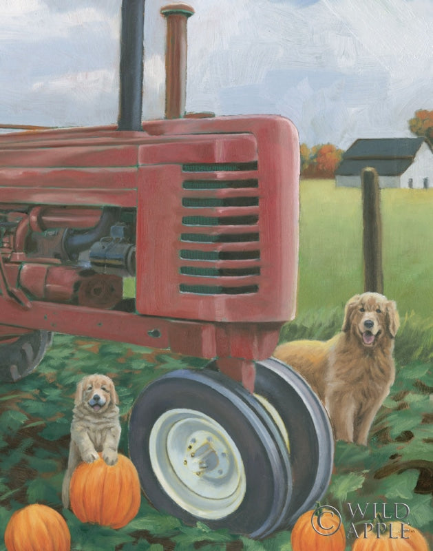 Reproduction of Fall Bounty II Crop by James Wiens - Wall Decor Art