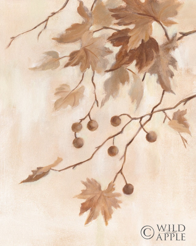 Reproduction of Boho Natural II by Silvia Vassileva - Wall Decor Art