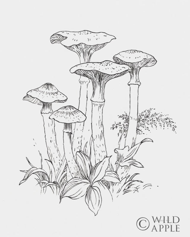 Reproduction of Natures Sketchbook I Bold Light Gray by Danhui Nai - Wall Decor Art