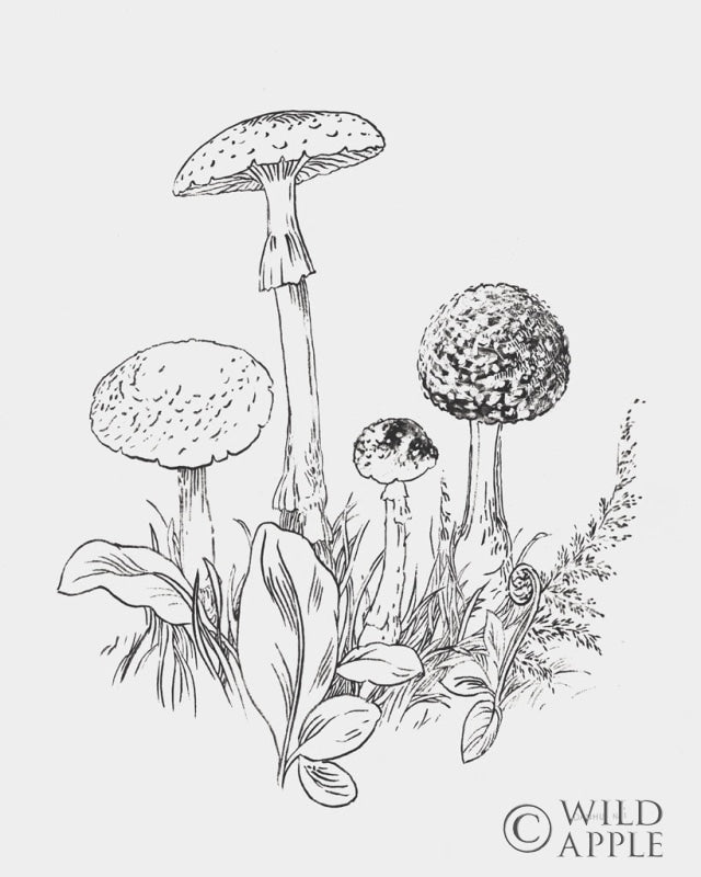 Reproduction of Natures Sketchbook II Bold Light Gray by Danhui Nai - Wall Decor Art