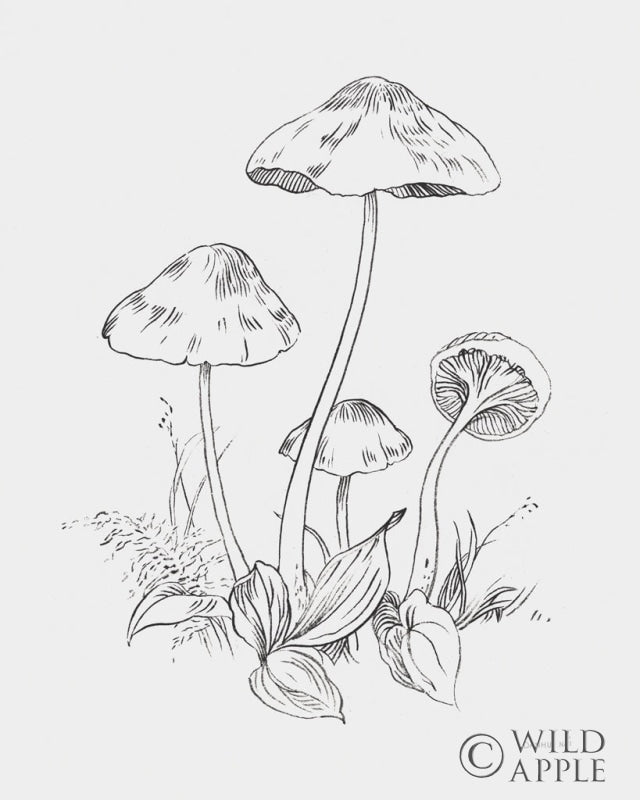 Reproduction of Natures Sketchbook III Bold Light Gray by Danhui Nai - Wall Decor Art