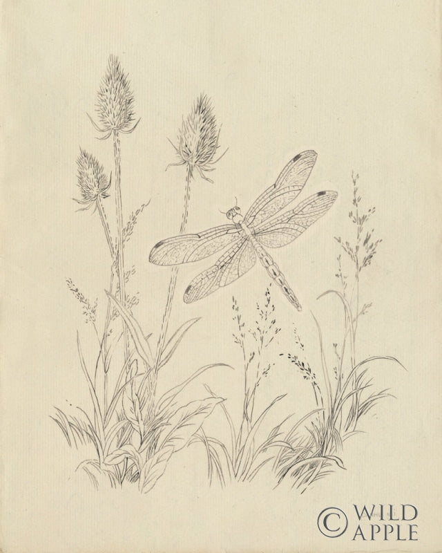 Reproduction of Vintage Nature Sketchbook IV by Danhui Nai - Wall Decor Art