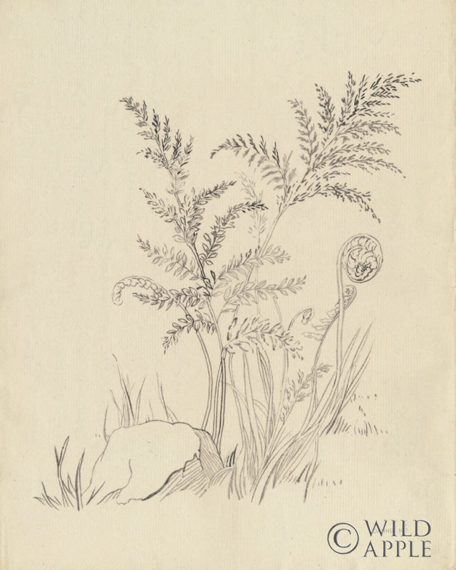 Reproduction of Vintage Nature Sketchbook VI by Danhui Nai - Wall Decor Art