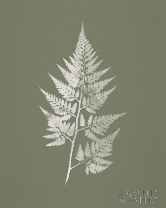 Reproduction of True Green VIII by Katie Pertiet - Wall Decor Art