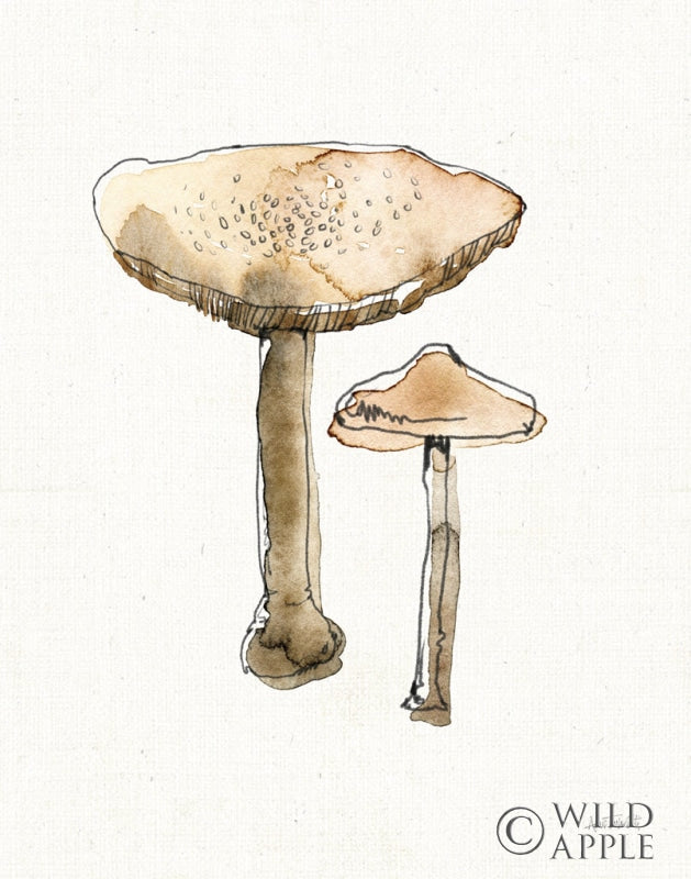 Reproduction of Fresh Farmhouse Mushrooms II by Anne Tavoletti - Wall Decor Art