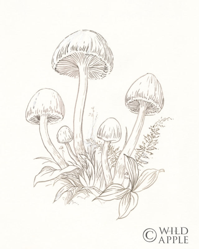 Reproduction of Nature Sketchebook IX by Danhui Nai - Wall Decor Art