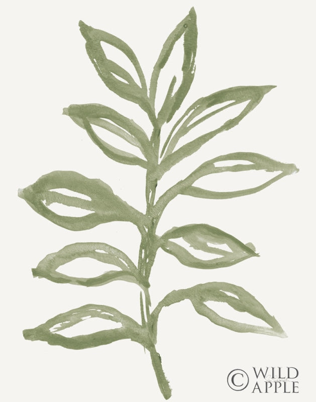 Reproduction of Nature in Sage II by Sue Schlabach - Wall Decor Art