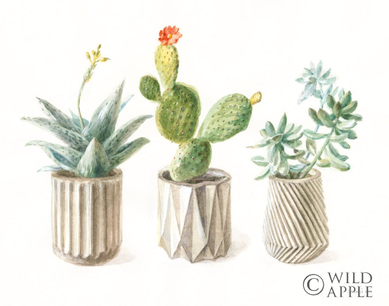 Reproduction of Desert Greenhouse IX by Danhui Nai - Wall Decor Art