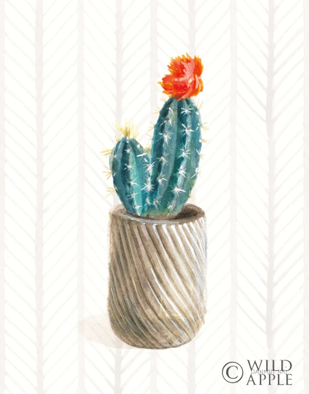 Reproduction of Desert Greenhouse XI by Danhui Nai - Wall Decor Art