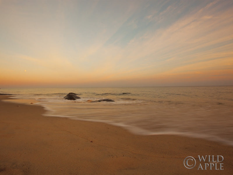 Reproduction of Tranquil Sands Color by Aledanda - Wall Decor Art