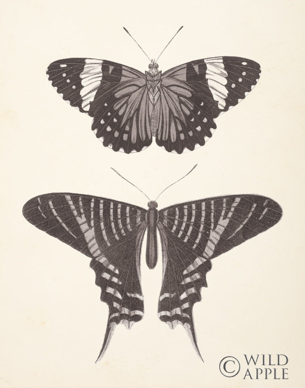 Reproduction of Papillons I Neutral by Wild Apple Portfolio - Wall Decor Art