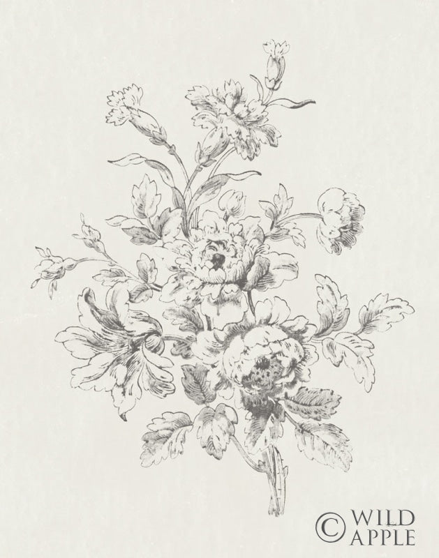 Reproduction of Toile Roses IX Neutral by Sue Schlabach - Wall Decor Art