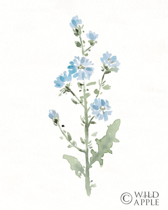 Reproduction of Flowers of the Wild III by Katrina Pete - Wall Decor Art