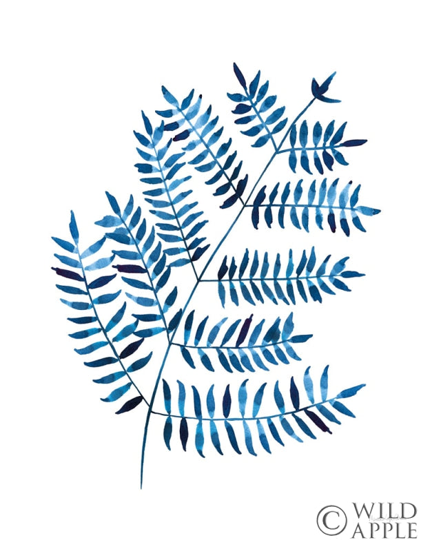 Reproduction of Woodland Fern by Mercedes Lopez Charro - Wall Decor Art