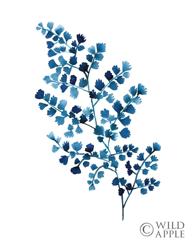 Reproduction of Maidenhair Fern by Mercedes Lopez Charro - Wall Decor Art