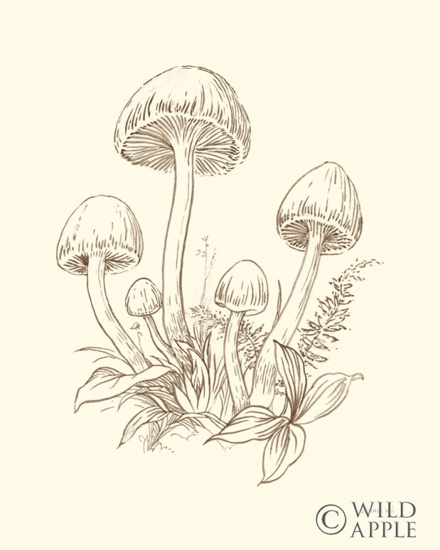 Reproduction of Nature Sketchebook IX Brown by Danhui Nai - Wall Decor Art