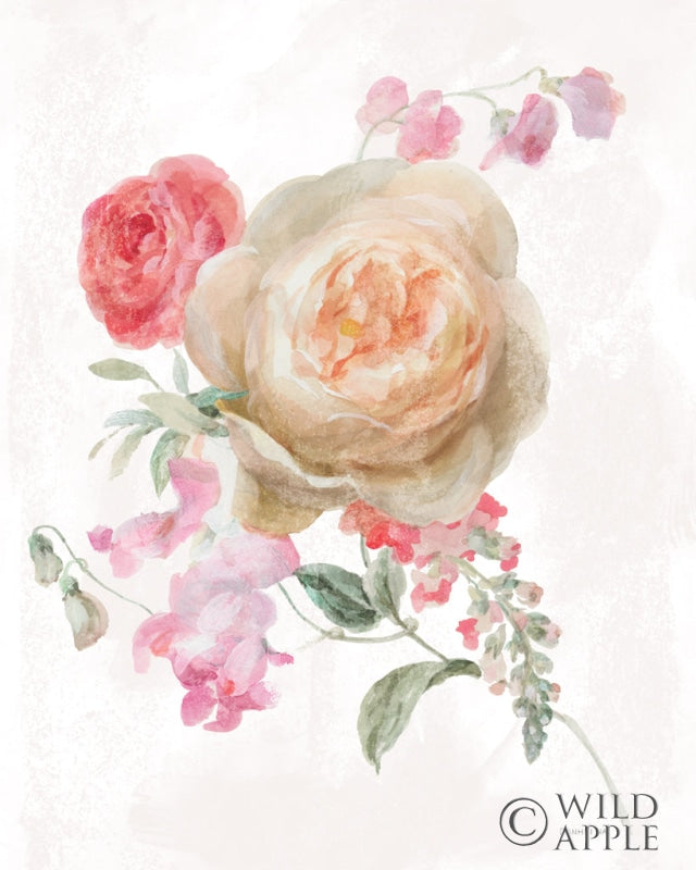 Reproduction of Sorbet Floret III by Danhui Nai - Wall Decor Art