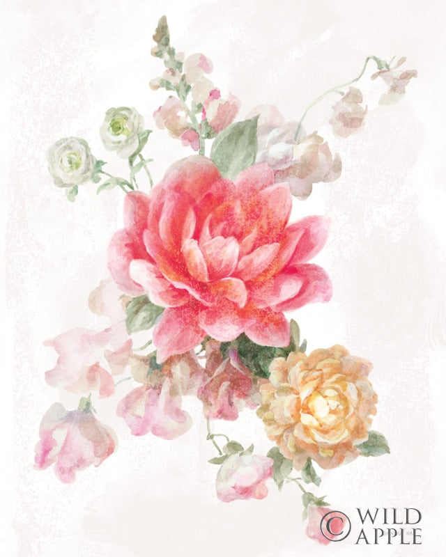 Reproduction of Sorbet Floret IV by Danhui Nai - Wall Decor Art