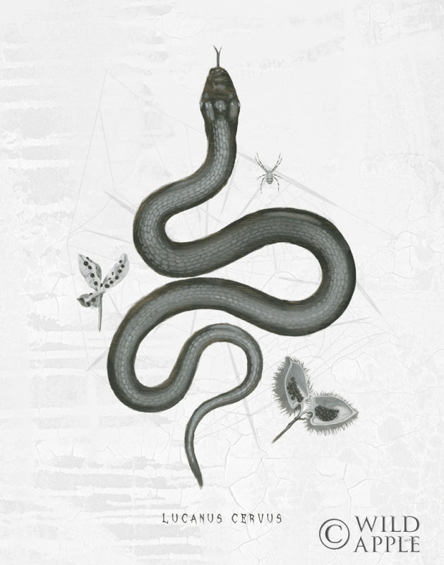 Reproduction of Halloween Treats VI by James Wiens - Wall Decor Art