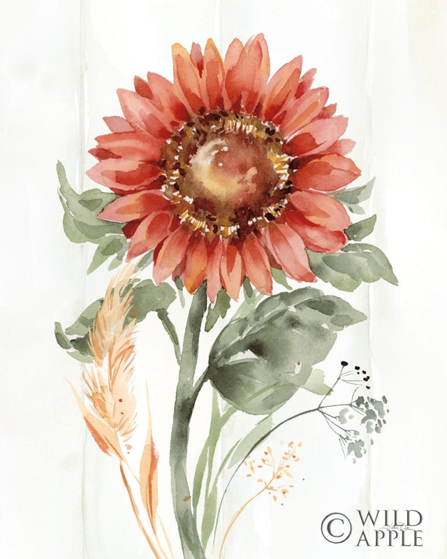 Reproduction of Autumn Ramble II by Katrina Pete - Wall Decor Art