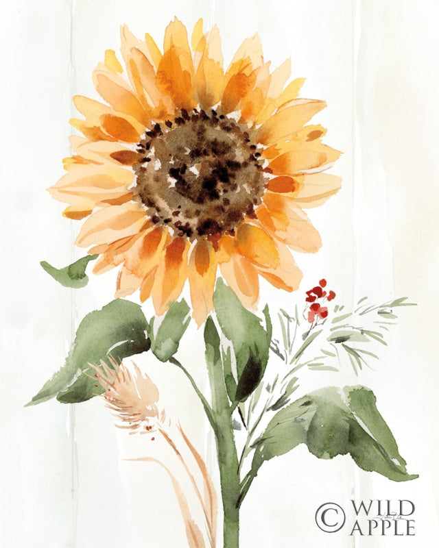 Reproduction of Autumn Ramble III by Katrina Pete - Wall Decor Art