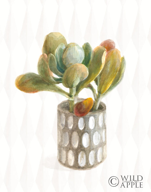 Reproduction of Desert Greenhouse XIV by Danhui Nai - Wall Decor Art