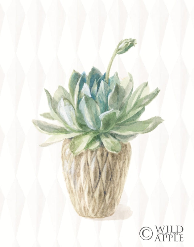 Reproduction of Desert Greenhouse XV by Danhui Nai - Wall Decor Art