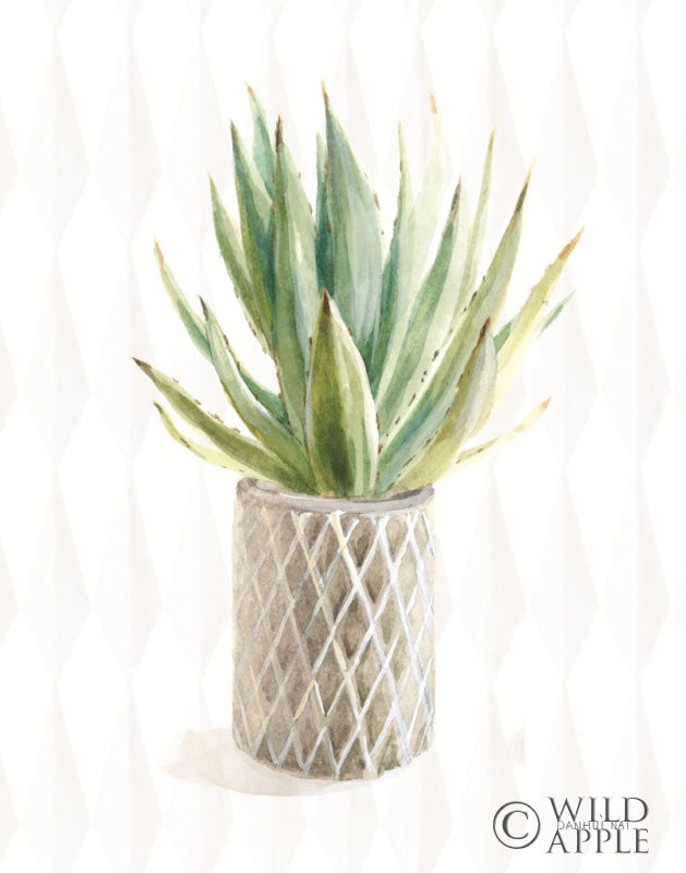 Reproduction of Desert Greenhouse XIX by Danhui Nai - Wall Decor Art