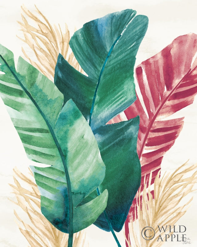 Reproduction of The Tropics II by Dina June - Wall Decor Art