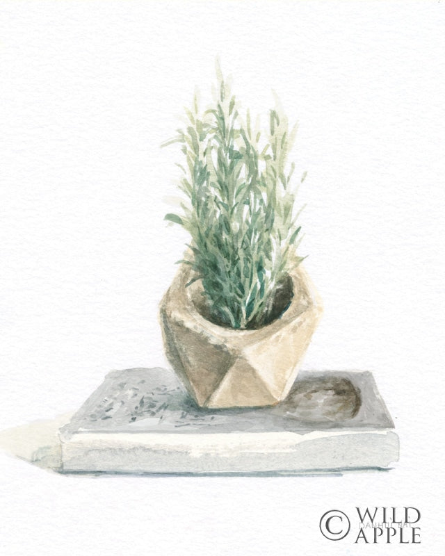 Reproduction of Grown at Home I Gray by Danhui Nai - Wall Decor Art