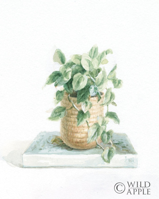 Reproduction of Grown at Home II Pale Blue by Danhui Nai - Wall Decor Art