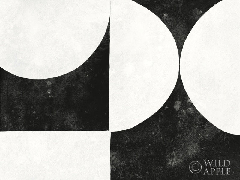 Reproduction of Strand VI BW by Danhui Nai - Wall Decor Art